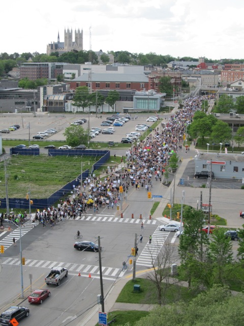 BLM Crowd in Guelph