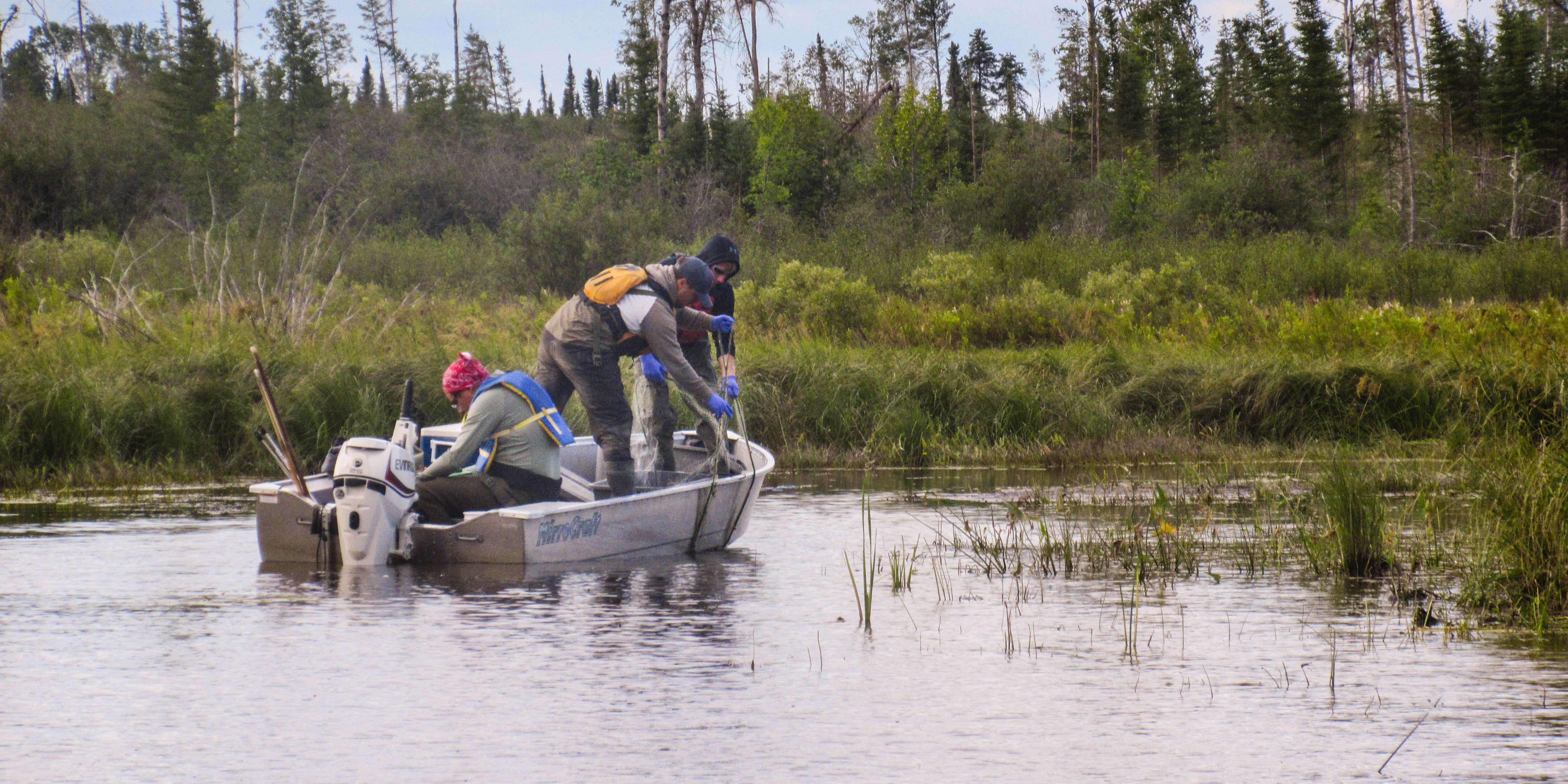 Miles Pitchenese, Levi Snook and Jody Duncan sampling in 2019