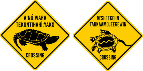 Mohawk-turtle-signs