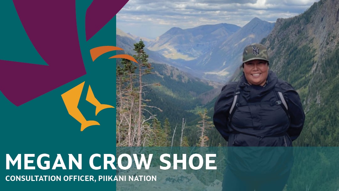 Megan Crow Shoe, Consultation Officer